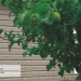 Сайдинг Ю-Пласт TIMBERBLOCK Пихта (Тимберблок) Cахалинская купить в Чите