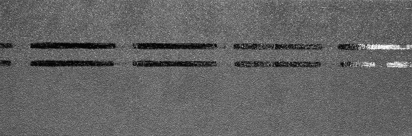 Коньково-карнизная черепица Docke Premium, черника купить в Чите