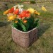 Цветник КАНЬОН купить в Чите